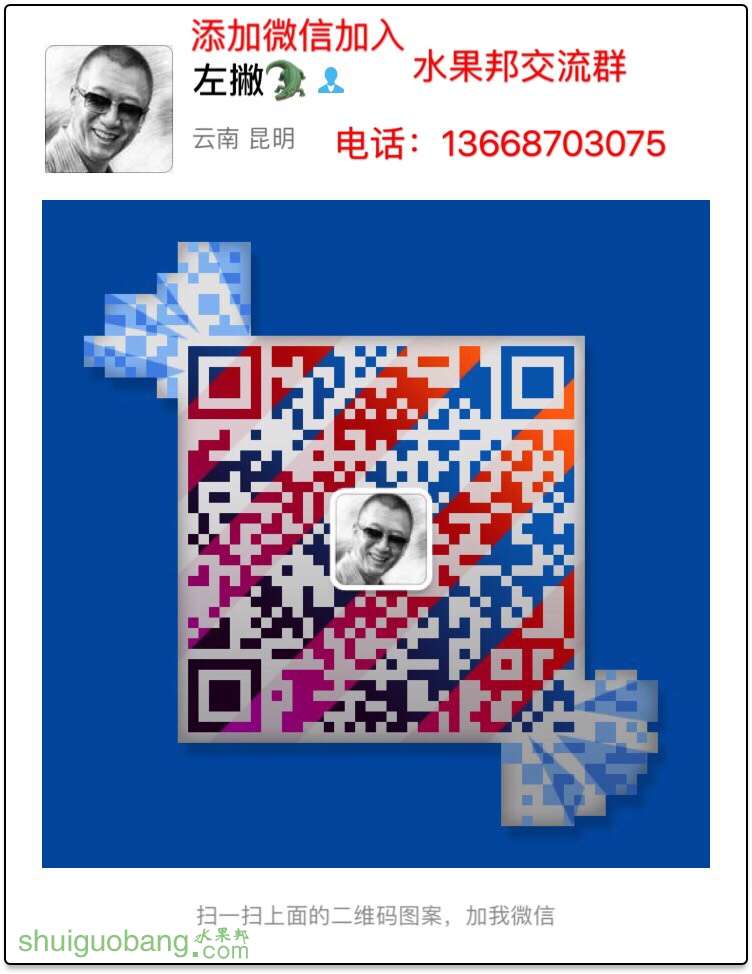 082309ck4blo9yozo3tbob.jpg