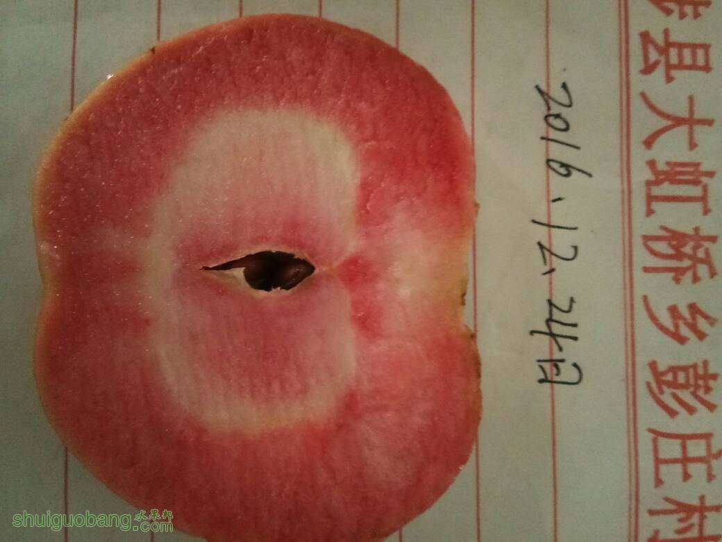 133224a1qqdz5ztqsqqeqo.jpg