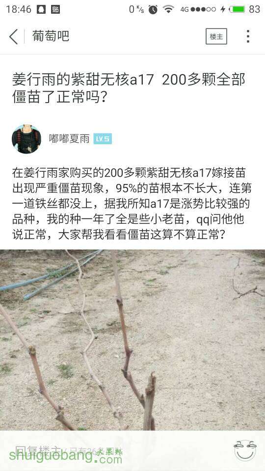 110229gnm1ngoo1mpwppz1.jpg