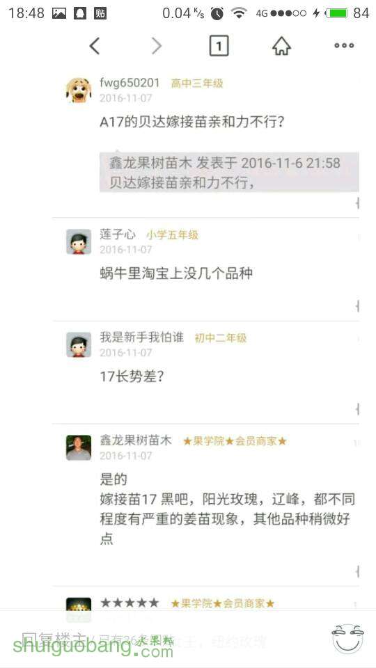 110511wyz1nyvjqvqjmj0m.jpg