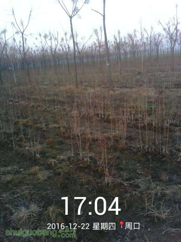 124938dm8ky1m558iihfwi.jpg