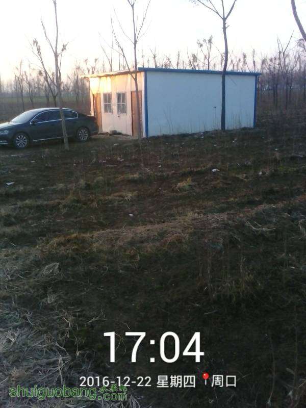 124941o2pk3c6gyjjczjjj.jpg