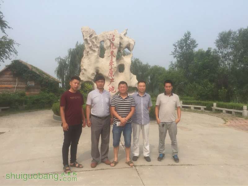 224109myteo1qnez500yiu.jpg
