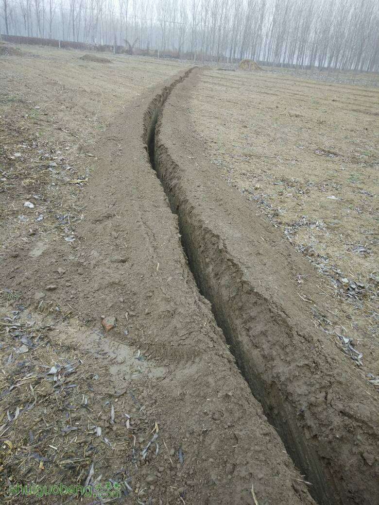 134305xbihvoipb7cyuuc6.jpg