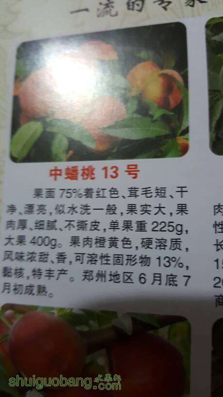 155018cdnwxypd9y9op9qp.jpg