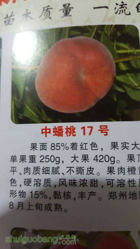 155019wgn71swowsmm8xzd.jpg
