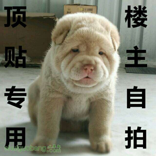 083654nnx4vmvuntsrccii.jpg