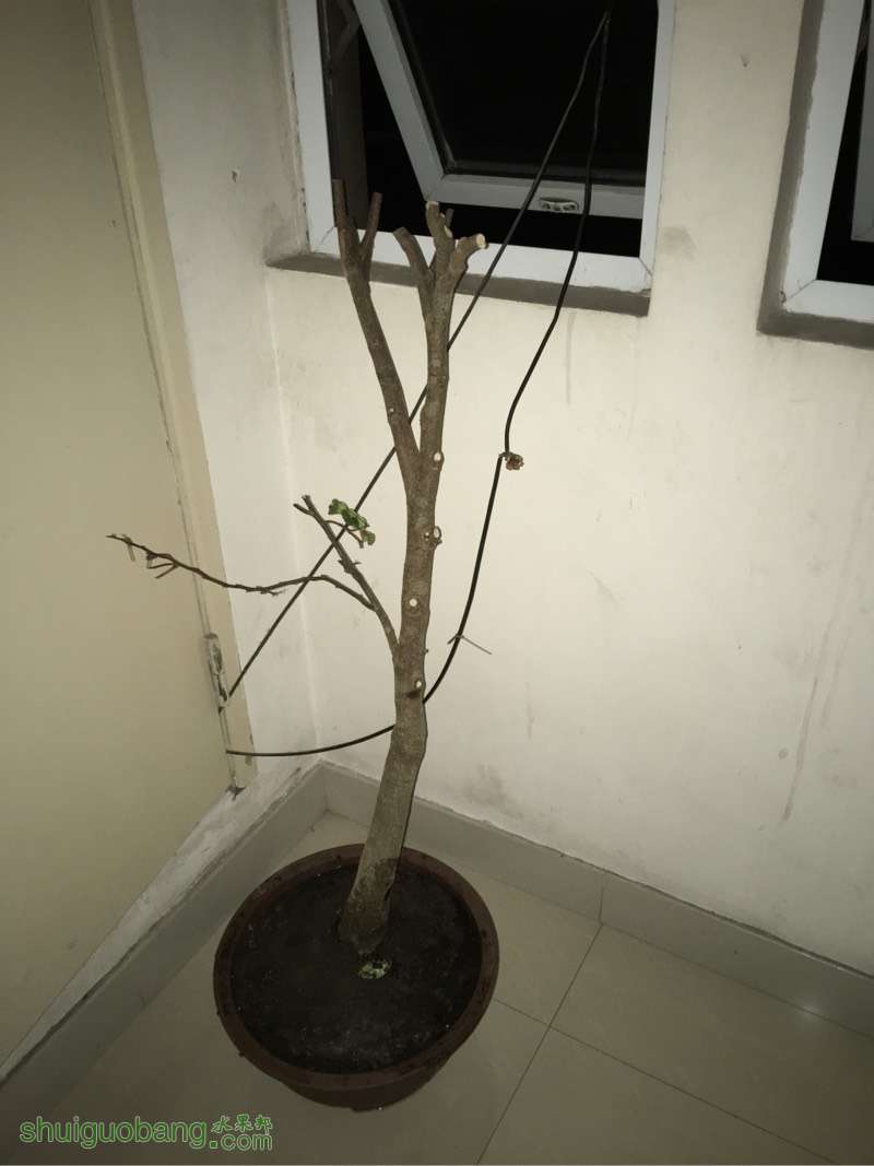 221156oodifj6vk976kbfu.jpg