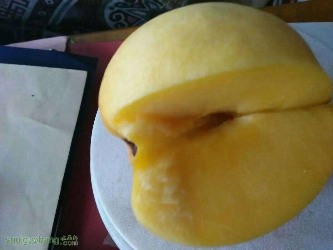 074753yxojm4kzqbcoiekl.jpeg
