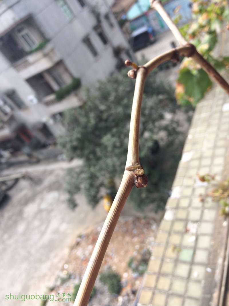 120819zek5eezqnddnaqz5.jpg