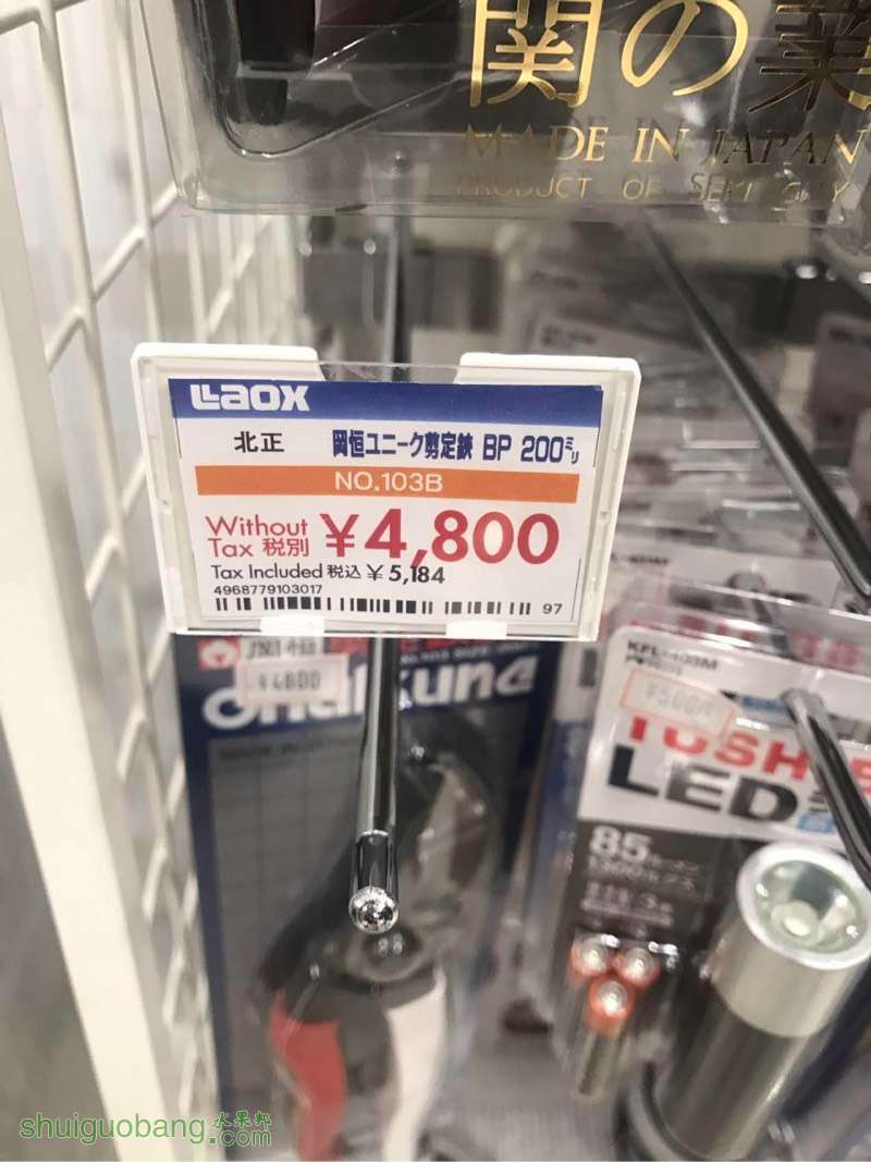 132527l54a0bapr6p5pnae.jpg