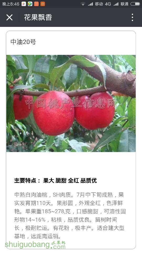 200154md5dye5p544yi6pj.png