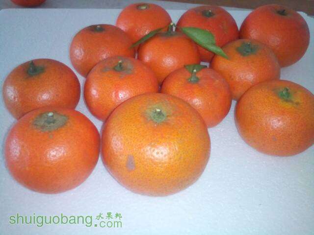 210739ji28xf4gmuejmjpc.jpg