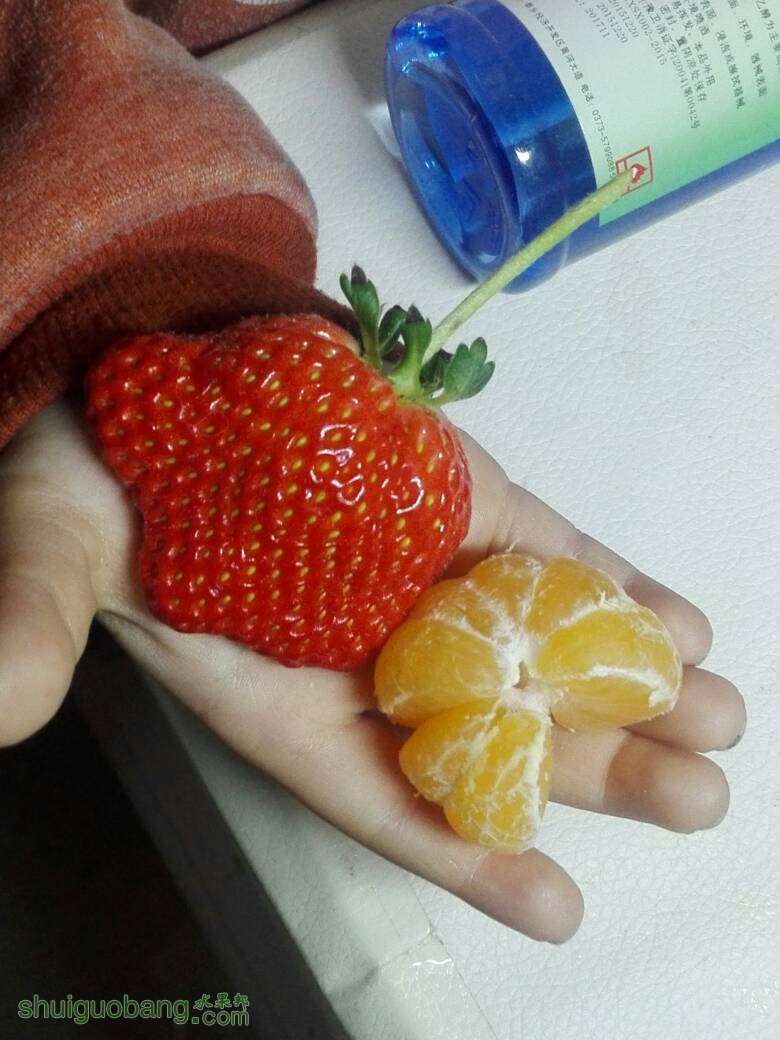 232528dsmsje1vprijiqmb.jpg