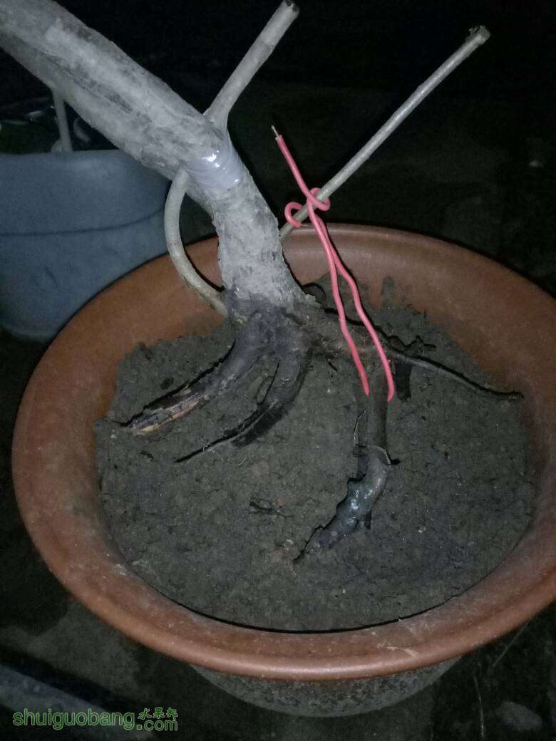 115040zegqjeqweujwjqju.jpg