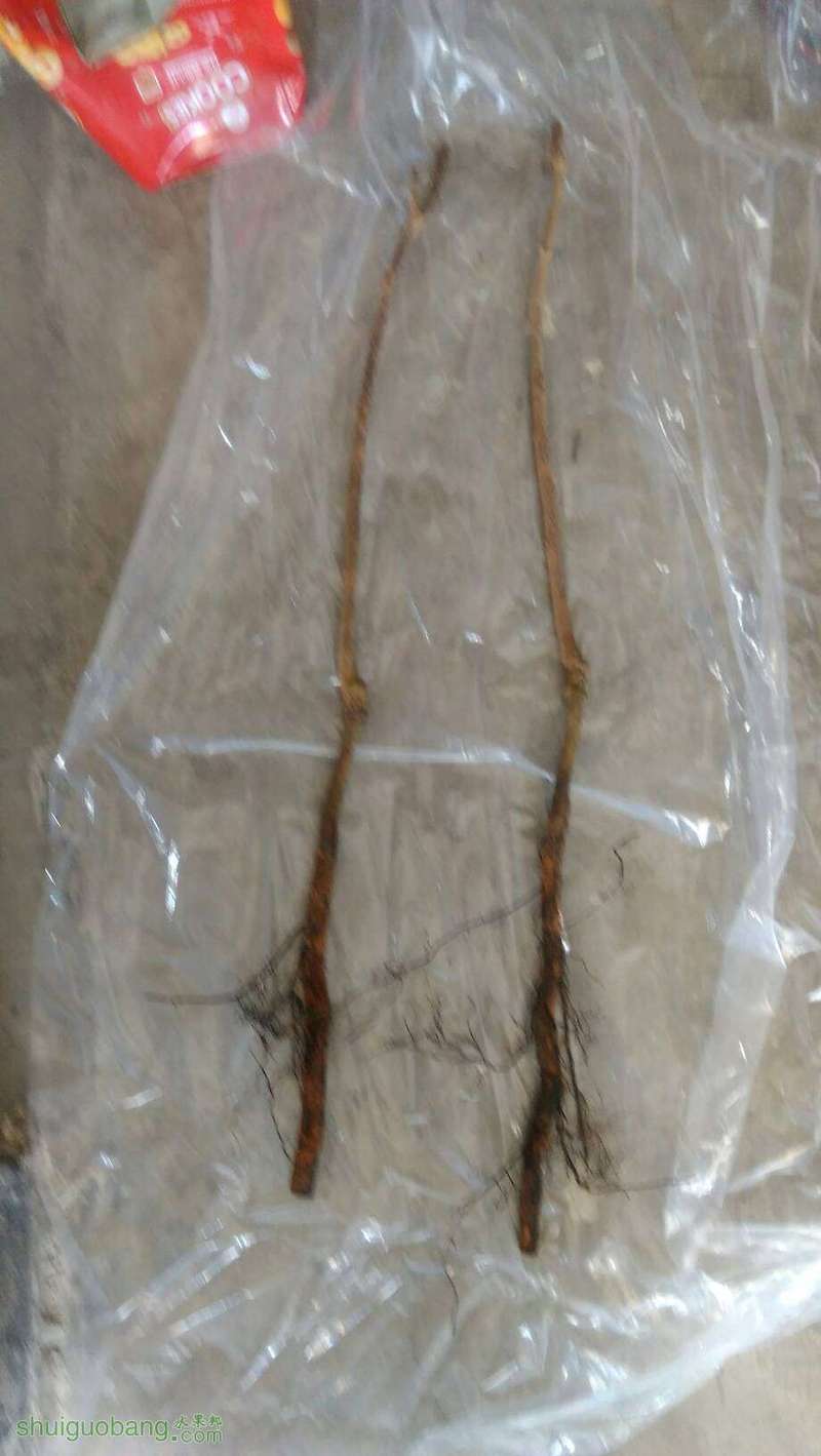 084604b3uuwv1x19zvz188.jpg