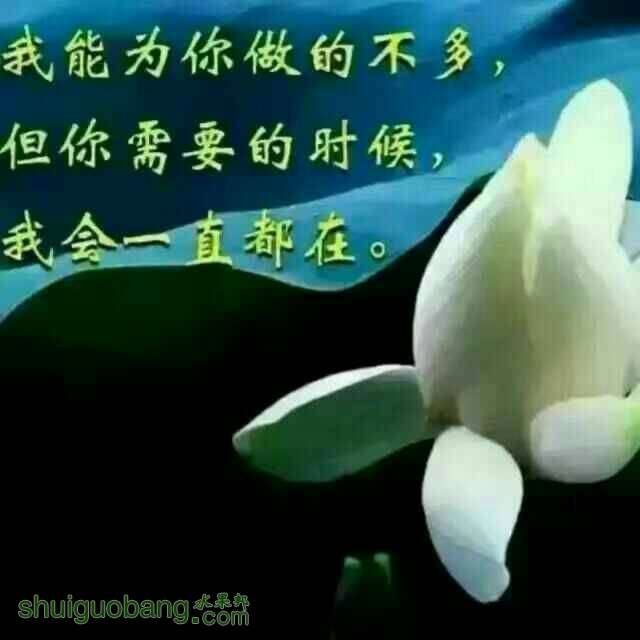 211251dwrlljtjwtmjaw9a.jpg