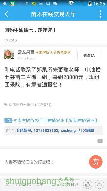 163814qvh0wly8gqdzdqkn.png