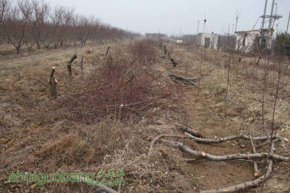 ������ 008.jpg