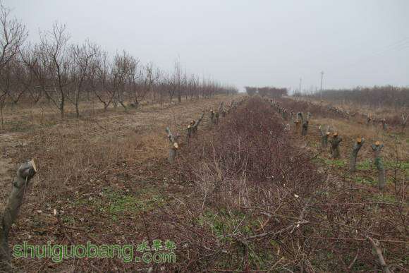 ������ 011.jpg