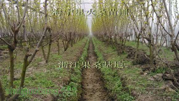 IMG_20140309_100503.jpg
