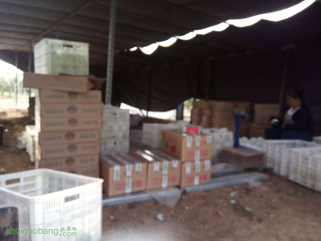 092224adkdd2kd7tdb7kkm.jpg