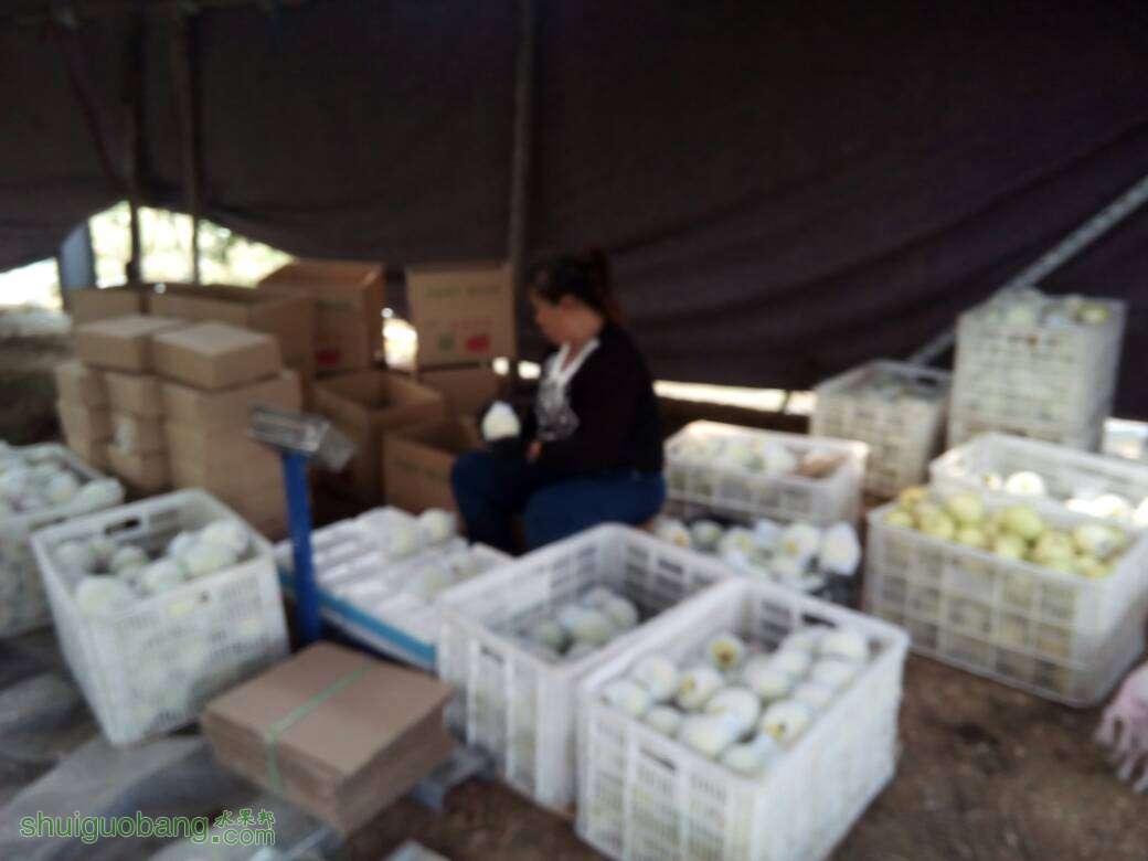 092225ohkvae7zga48otss.jpg