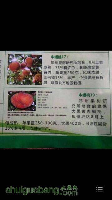 161907b60e6ge93w66l2fg.jpg
