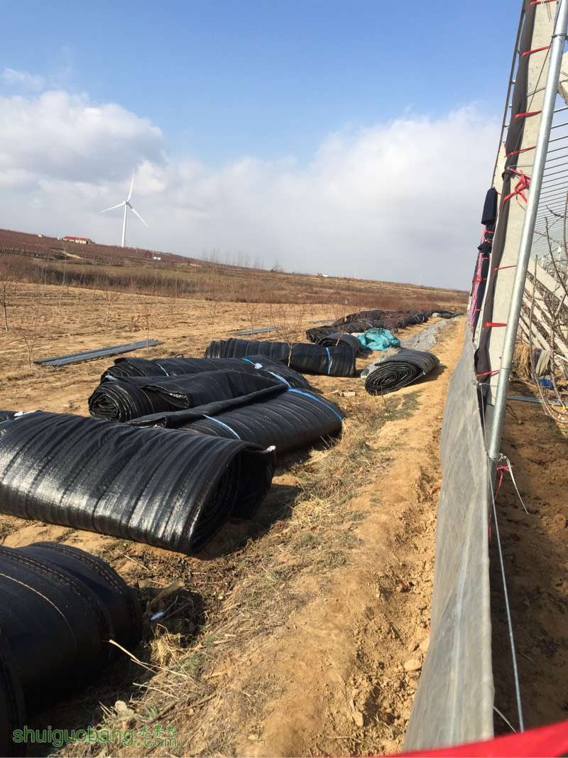 183926bsg61zgh1sjt0htt.jpg