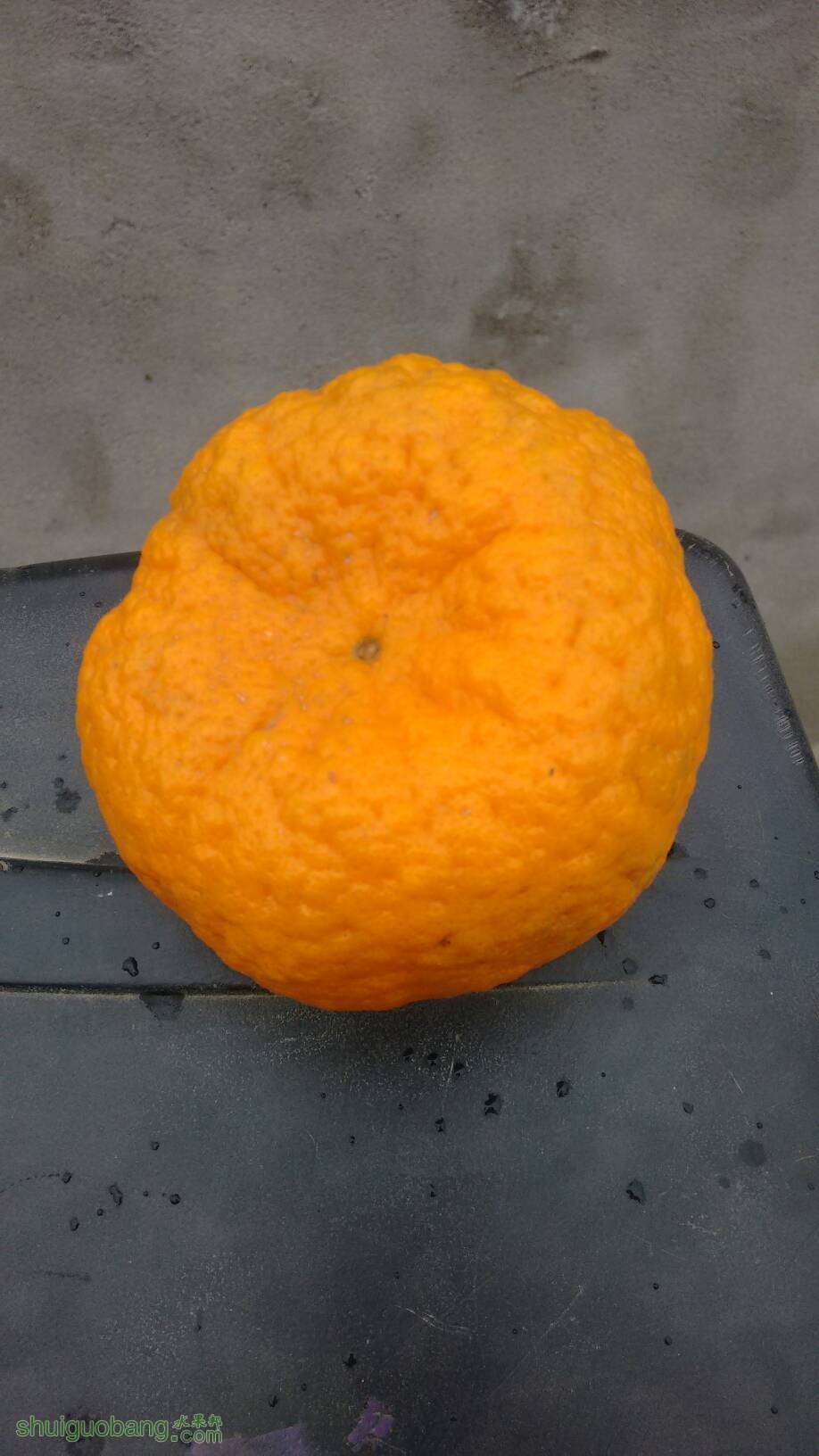 085825nfns6hrhzhpn9bbm.jpg