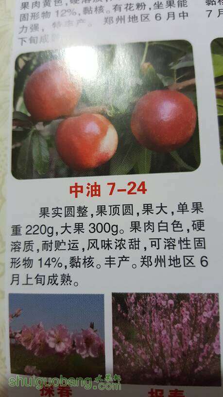 093015fgpa17eg48l7hhq7.jpg