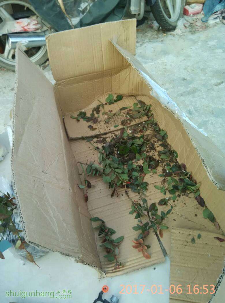 192237bqojiv7ztq1orqty.jpg