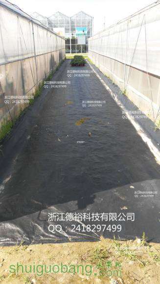 606987870b084a616cd6e499d01ab52_����_����.jpg