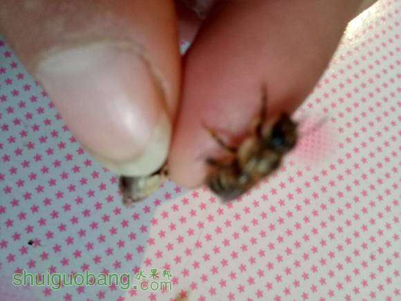 D858E99454F510FECACDE72BE24164B1.jpg