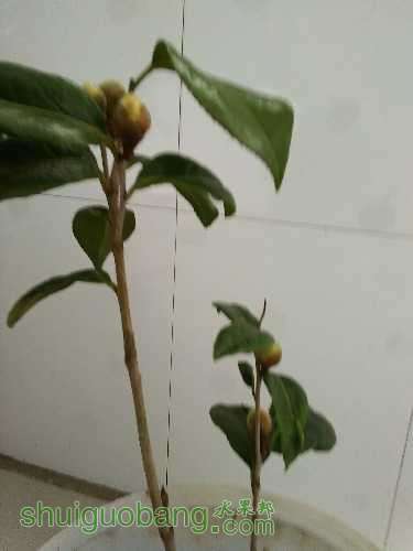 IMG20170107114126.jpg