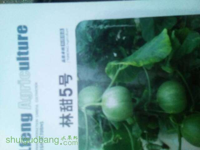 023725wb3hinjz3w2tdn2d.jpg