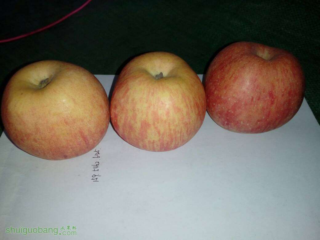 114547gwwdvvxvyw4ikhhq.jpg