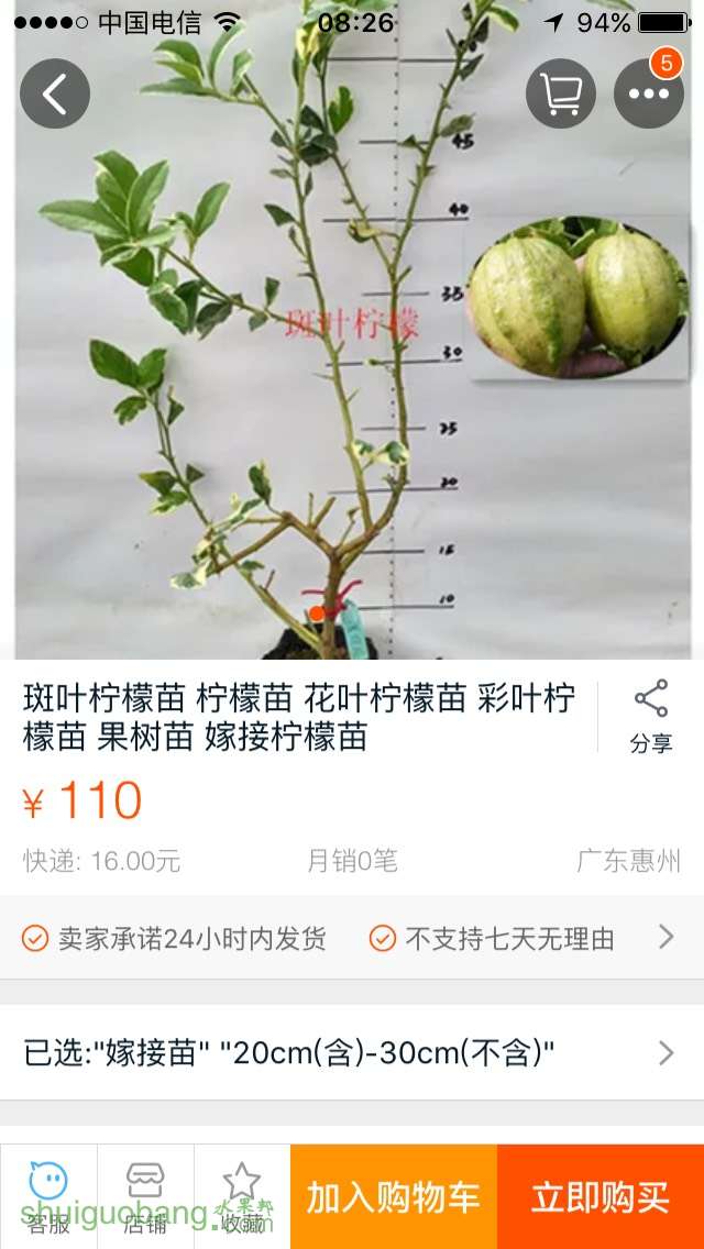 163545ctw1452tr5xhitxh.jpg