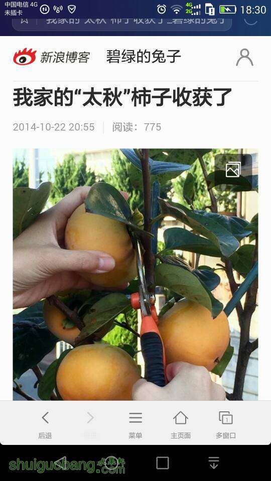 183409d8016zw767c96w11.jpeg