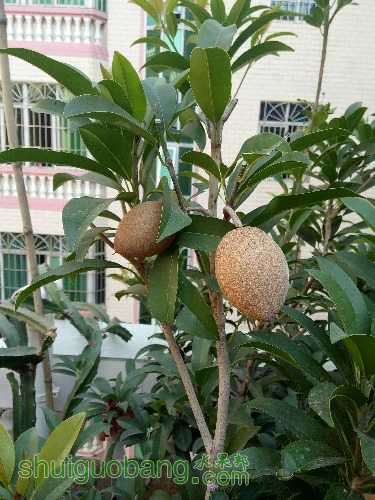 IMG20170103114106.jpg