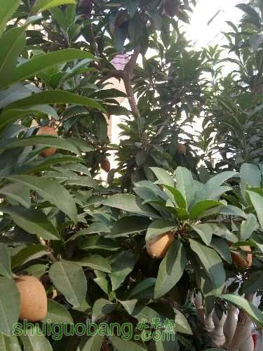 IMG20170103113949.jpg