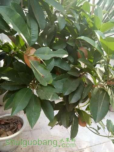 IMG20170103113904.jpg