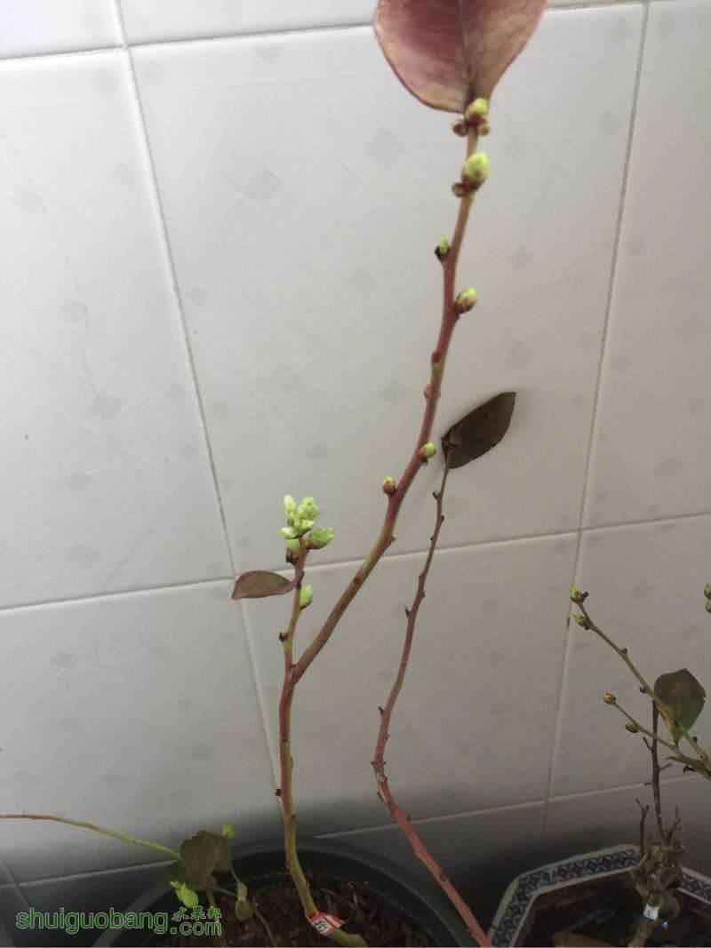110052poo5434so4yyo44b.jpg