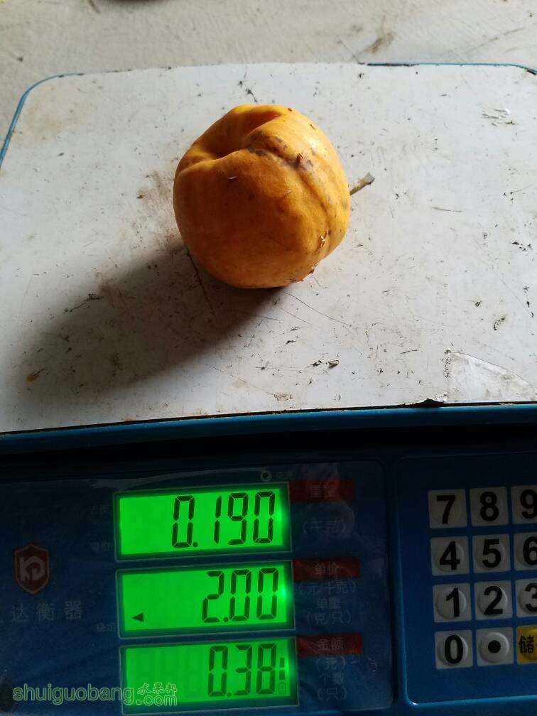 224849orarr2zfphpfahmb.jpg