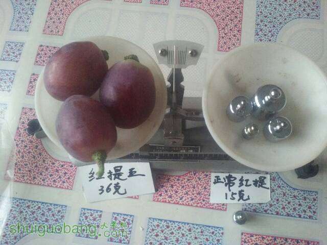 075542taojwttymm2lyeyo.jpg