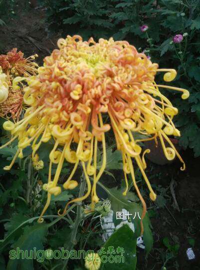 065941cm6yi2a7l99j399j.jpg