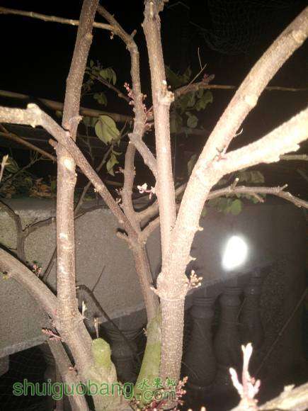 IMG20170111193734.jpg