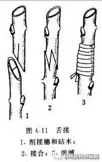 203751iiia0xe1y9a9enjv.jpg
