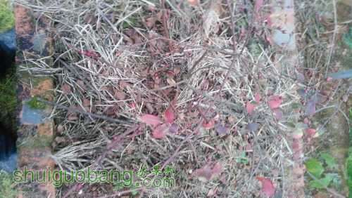 IMG_20170110_154506.jpg