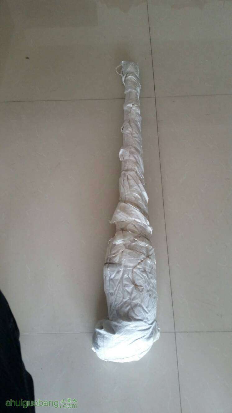 124609azat2dzzynqaljps.jpg